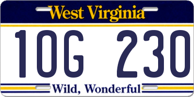 WV license plate 1OG230