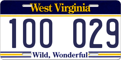 WV license plate 1OO029