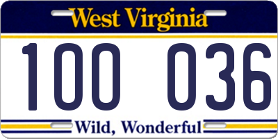 WV license plate 1OO036