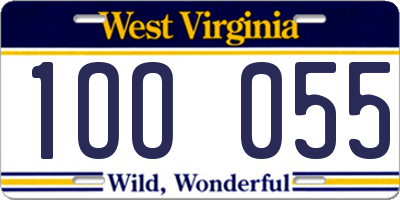 WV license plate 1OO055