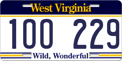 WV license plate 1OO229