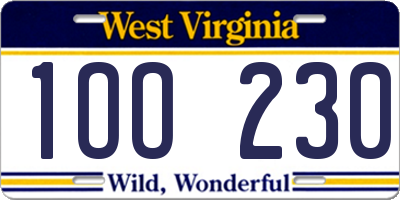 WV license plate 1OO230