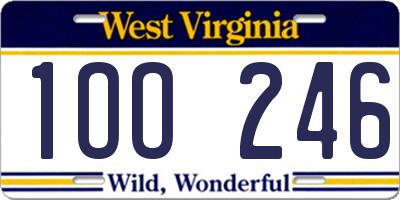 WV license plate 1OO246