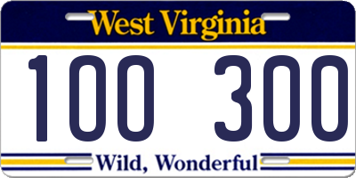 WV license plate 1OO300