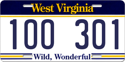 WV license plate 1OO301