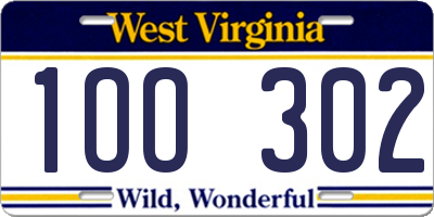 WV license plate 1OO302