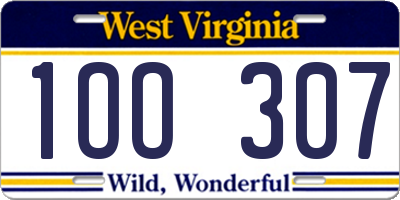 WV license plate 1OO307
