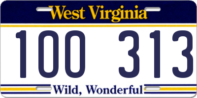 WV license plate 1OO313