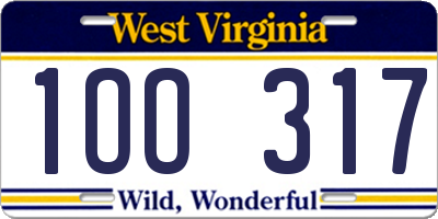 WV license plate 1OO317