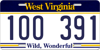 WV license plate 1OO391