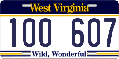 WV license plate 1OO607