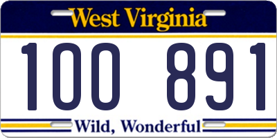 WV license plate 1OO891