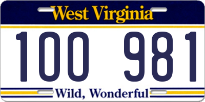 WV license plate 1OO981
