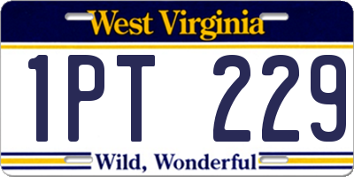 WV license plate 1PT229