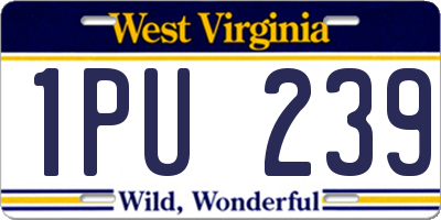 WV license plate 1PU239