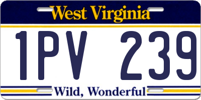 WV license plate 1PV239