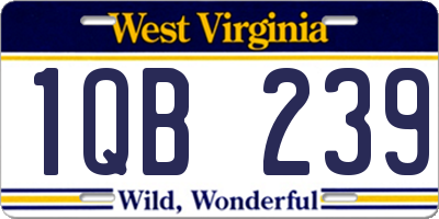 WV license plate 1QB239