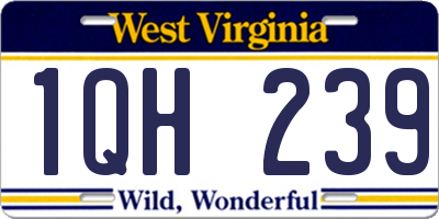 WV license plate 1QH239