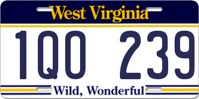 WV license plate 1QO239