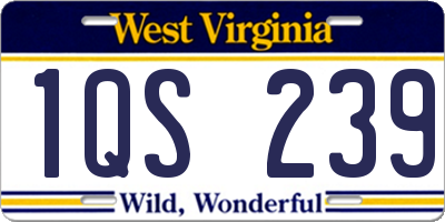 WV license plate 1QS239