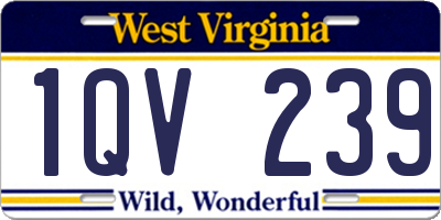 WV license plate 1QV239