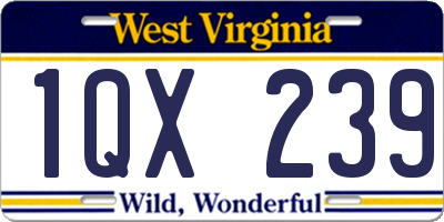 WV license plate 1QX239