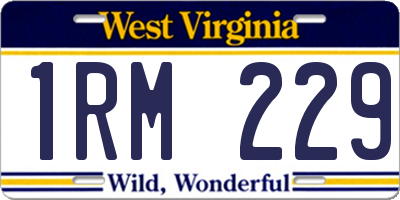 WV license plate 1RM229