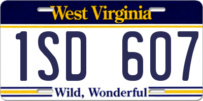 WV license plate 1SD607