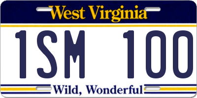 WV license plate 1SM100
