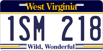 WV license plate 1SM218