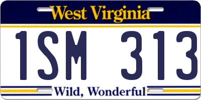 WV license plate 1SM313