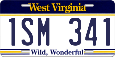 WV license plate 1SM341