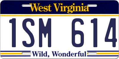 WV license plate 1SM614