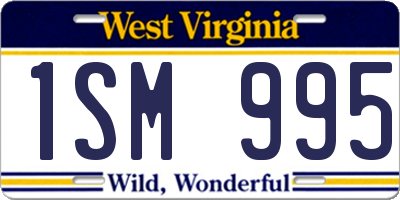 WV license plate 1SM995