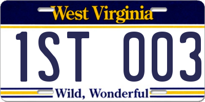 WV license plate 1ST003