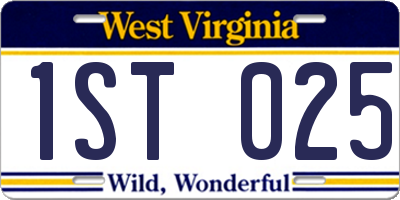 WV license plate 1ST025