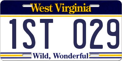 WV license plate 1ST029