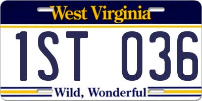 WV license plate 1ST036