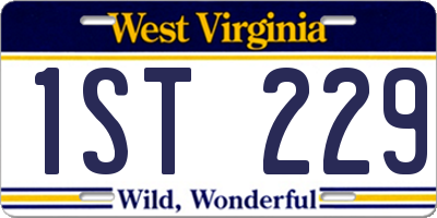 WV license plate 1ST229