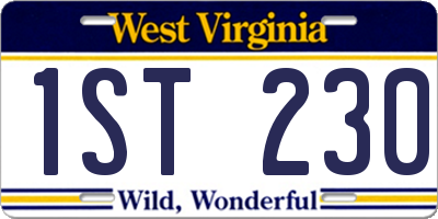 WV license plate 1ST230