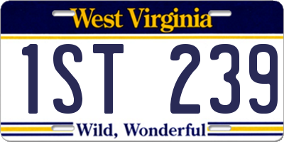 WV license plate 1ST239