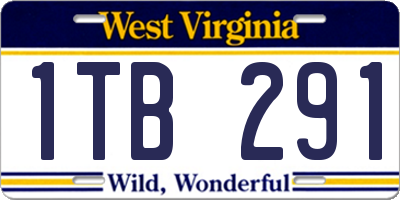 WV license plate 1TB291