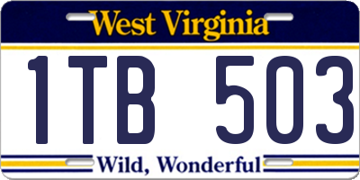 WV license plate 1TB503