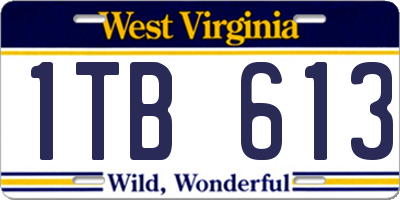 WV license plate 1TB613
