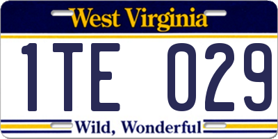 WV license plate 1TE029
