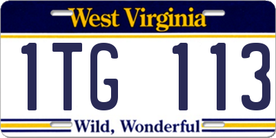 WV license plate 1TG113