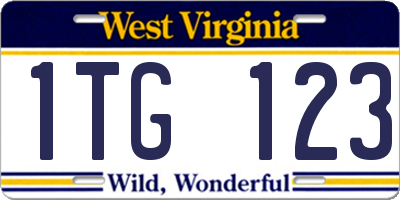 WV license plate 1TG123