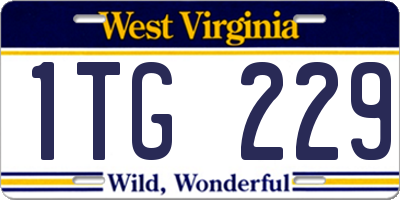 WV license plate 1TG229