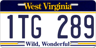 WV license plate 1TG289
