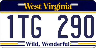 WV license plate 1TG290